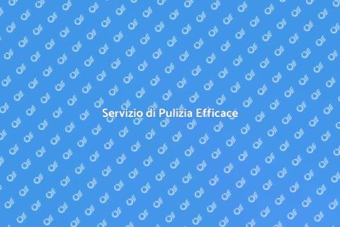 Pulizia a Pressione Efficace
