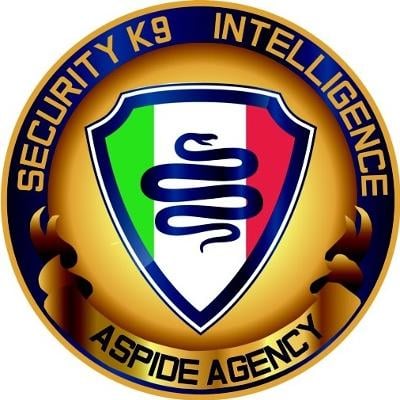 Aspide Protection