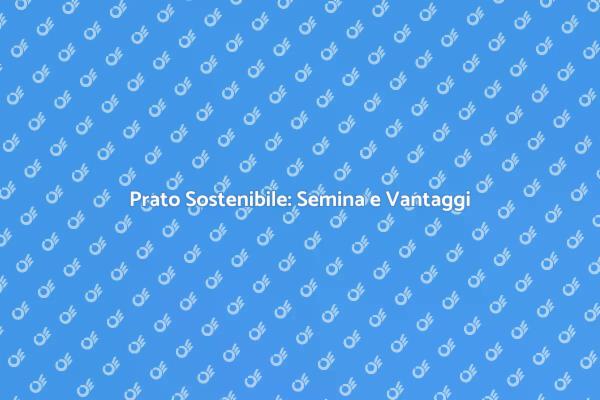 Rendi Verde il Tuo Spazio: Semina Prato
