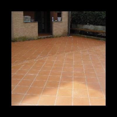 Impresa di Pulizie Speedyclean Sas  - Foto 5