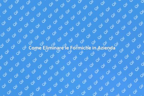 Disinfestazione Formiche in Azienda