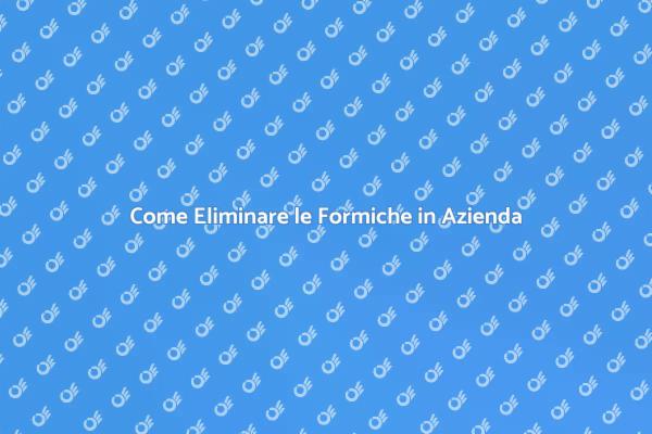 La Guida alla Disinfestazione delle Formiche