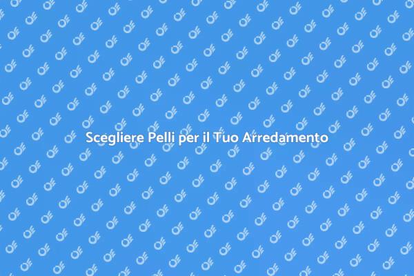 Trasforma il Tuo Spazio con le Pelli
