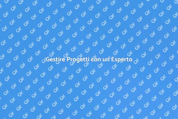 Il Consulente che Facilita i Progetti