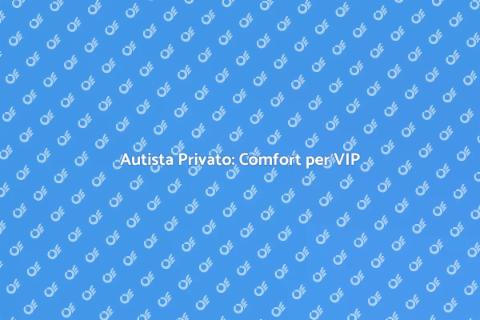 Servizio Autista Privato per VIP