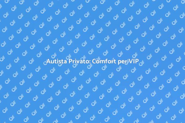 Autista Privato per Spostamenti VIP