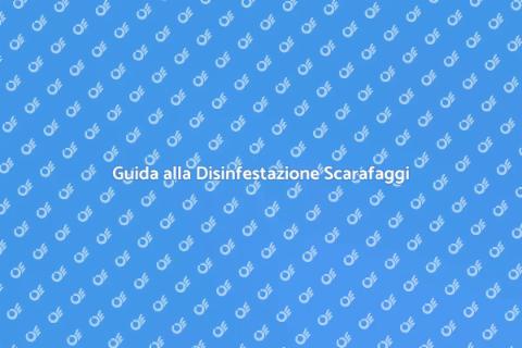 Disinfestazione da Scarafaggi Efficace
