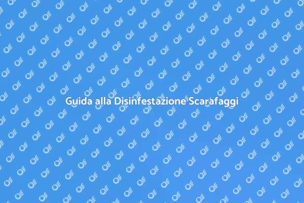 Liberati dai Scarafaggi Oggi!