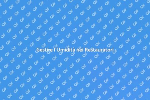 Controllo Umidità nei Restauri Storici