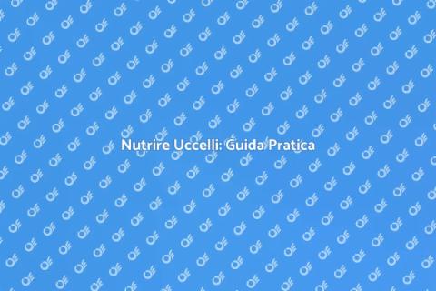 Mangime Uccelli: Guida Completa