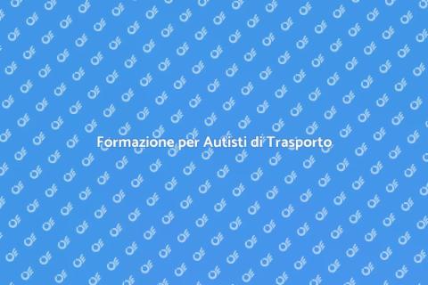 Addestramento Professionale per Autisti