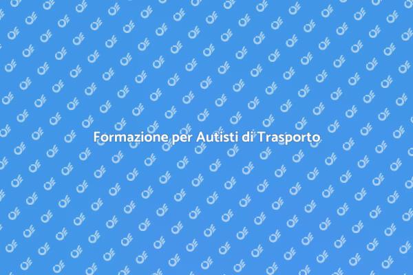 Importanza dell'Addestramento per Autisti