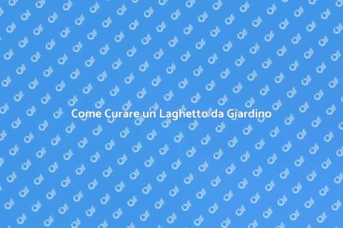 Manutenzione Laghetto da Giardino