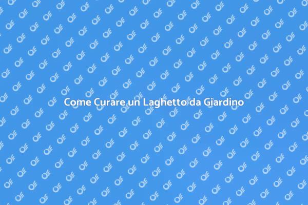 Manutenzione Essenziale del Laghetto