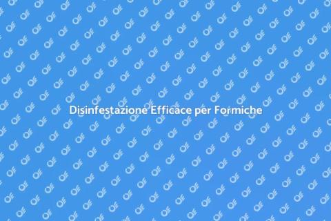 Disinfestazione Formiche in Ufficio