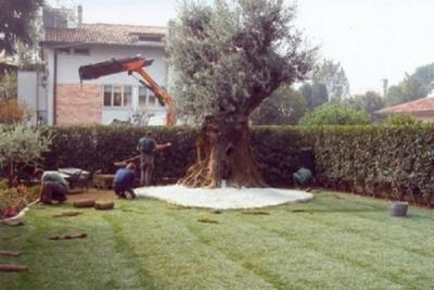 Agri Garden  - Foto 3
