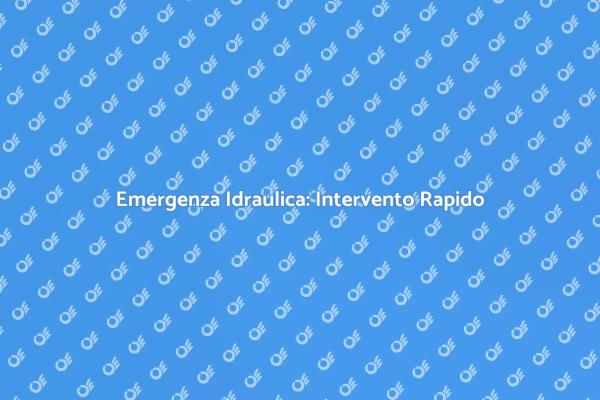 Risolvi Subito i Tuoi Problemi Idraulici