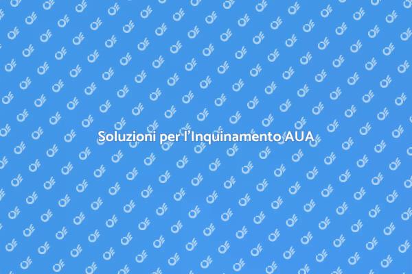 Costruire un Futuro Sostenibile AUA