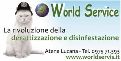world service srls - Foto 2