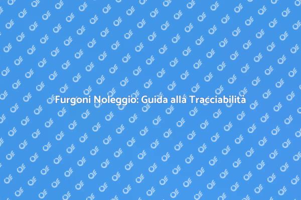 Come Scegliere un Furgone Noleggiato