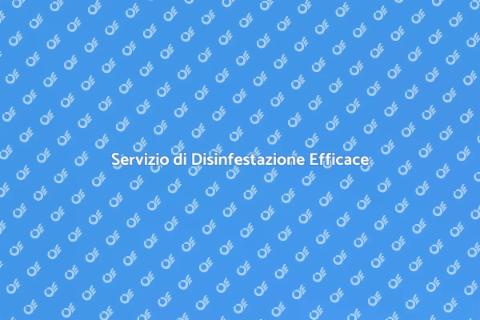 Disinfestazione Professionale Insetti