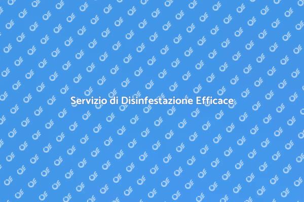 Disinfestazione: Casa Senza Insetti