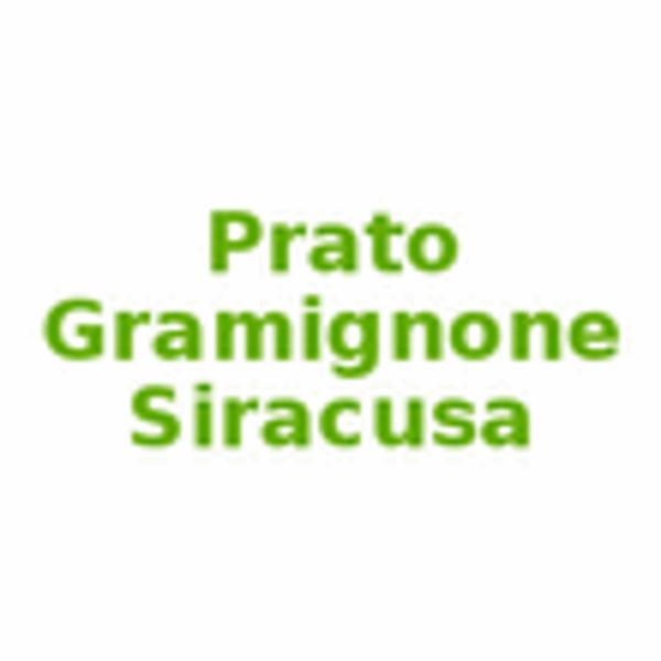 Prato Gramignone Siracusa  - Foto 1