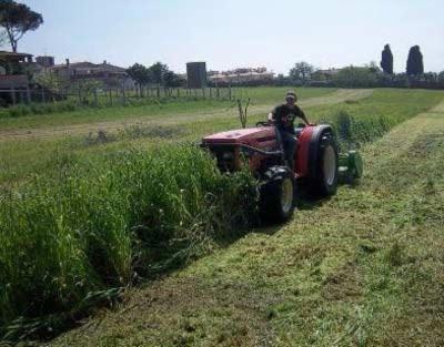 Camilletti Ponteggi Castelli Romani  - Foto 4