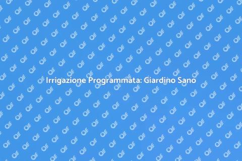 Timer per l'Irrigazione: Giardino Perfetto