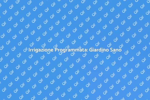 Irrigazione Efficiente con un Timer