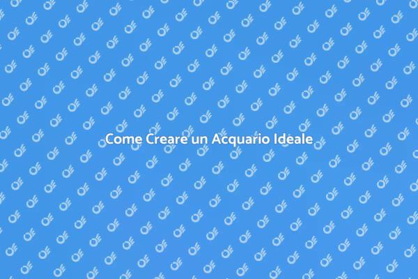 Guida alla Progettazione di un Acquario