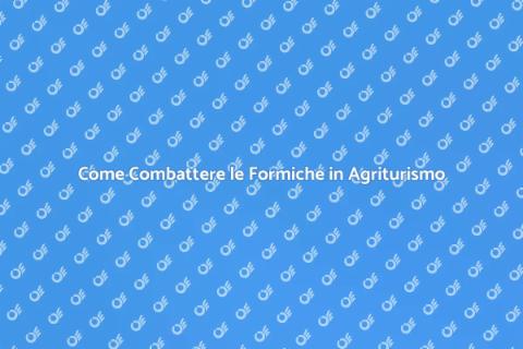 Disinfestazione Formiche Agriturismo