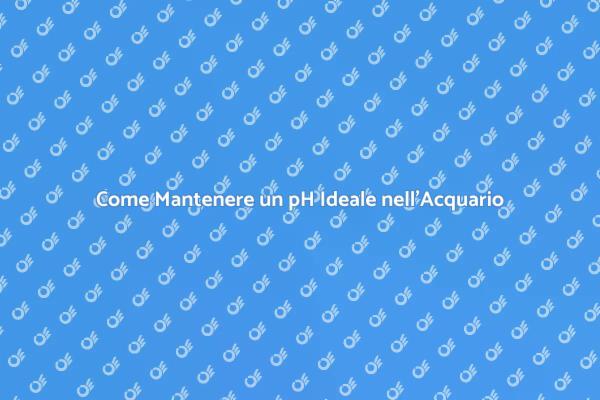 Stabilità del pH: Chiave per l'Acquario