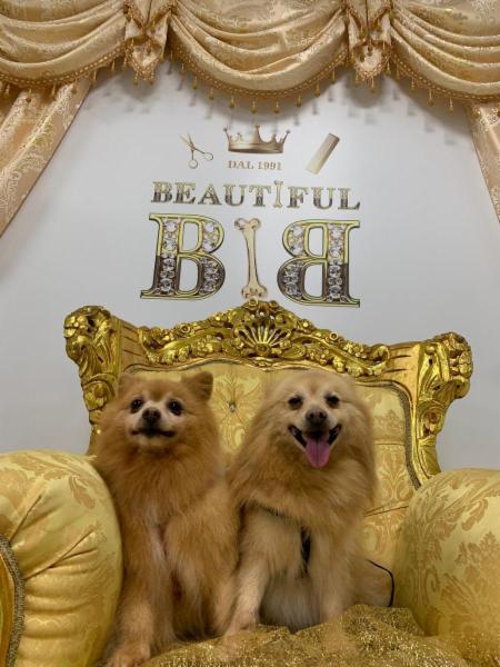 Beautiful - Foto 11