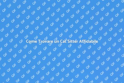 Cat Sitter Affidabile per Gatti Timidi