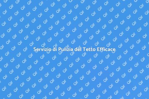 Pulizia del Tetto: Mantienilo Splendente