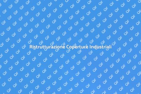 Manutenzione Coperture Industriali