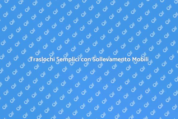 Servizio Professionale di Sollevamento Mobili