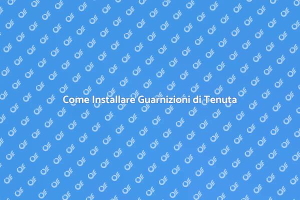 Installazione Guarnizioni di Tenuta
