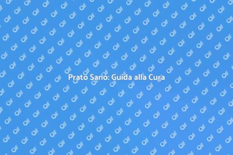 Curare il Tappeto Erboso Ideale