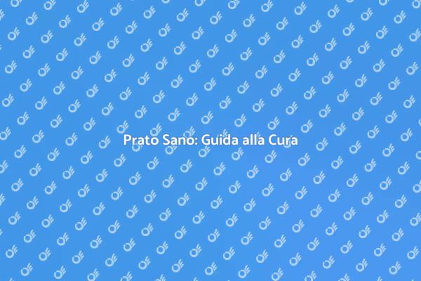 Come Curare il Tuo Tappeto Erboso