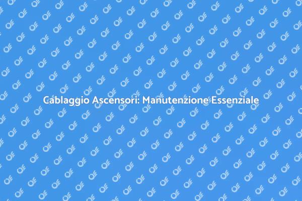 Manutenzione Essenziale per Ascensori