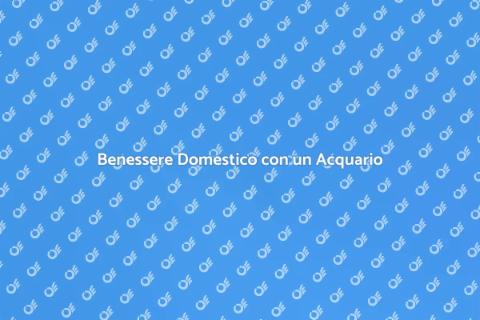 Acquario per la Felicità e Benessere