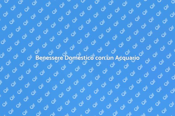 L'Acquario come Oasi di Serenità