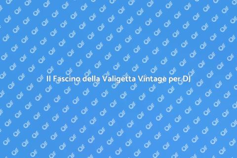 Valigetta Vintage per DJ: Stile Unico