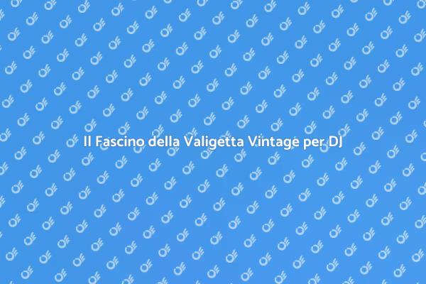 Valigetta Vintage: Un Must per DJ
