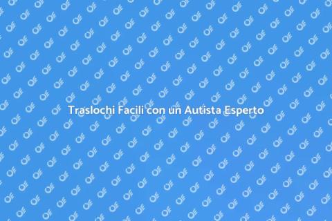 Noleggiare un Autista Esperto Traslochi