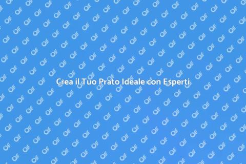 Il Prato Perfetto: Guida alla Creazione
