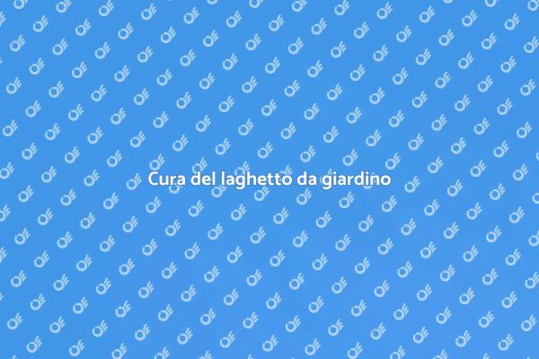 Manutenzione efficace del laghetto