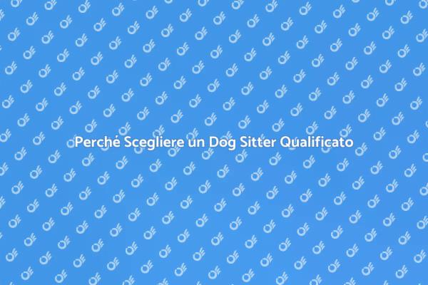 L'importanza di un Dog Sitter Esperto